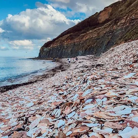 Appt 4p - Manoirs 1 à La Chez Claudette&marc Appartamento Courseulles-sur-Mer
