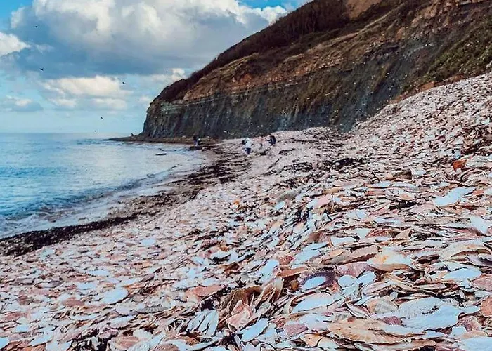 Appt 4p - Manoirs 1 A La Chez Claudette & Marc Apartmán Courseulles-sur-Mer